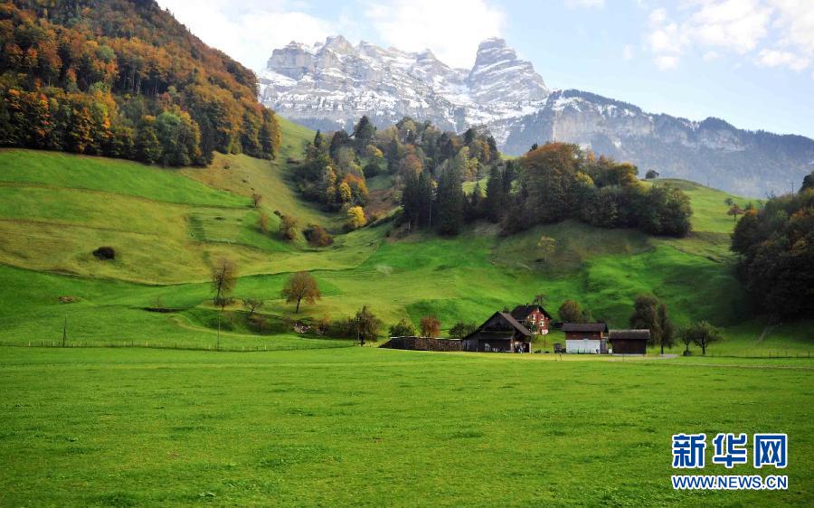 《甜甜的陷阱》今日开播 谢彬彬张淼怡携手打造“美食江湖”